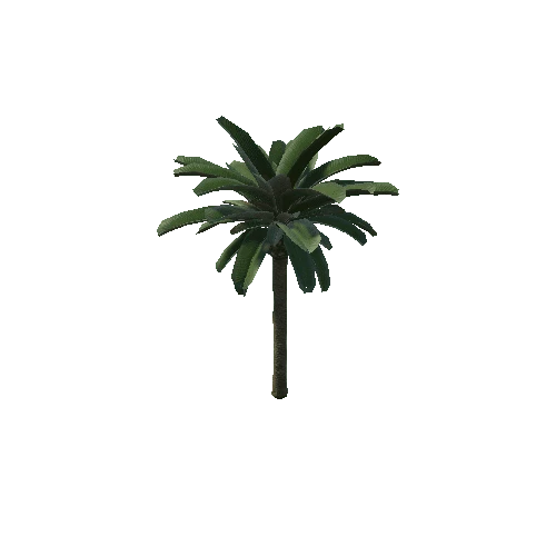 Palm02_c Prefab